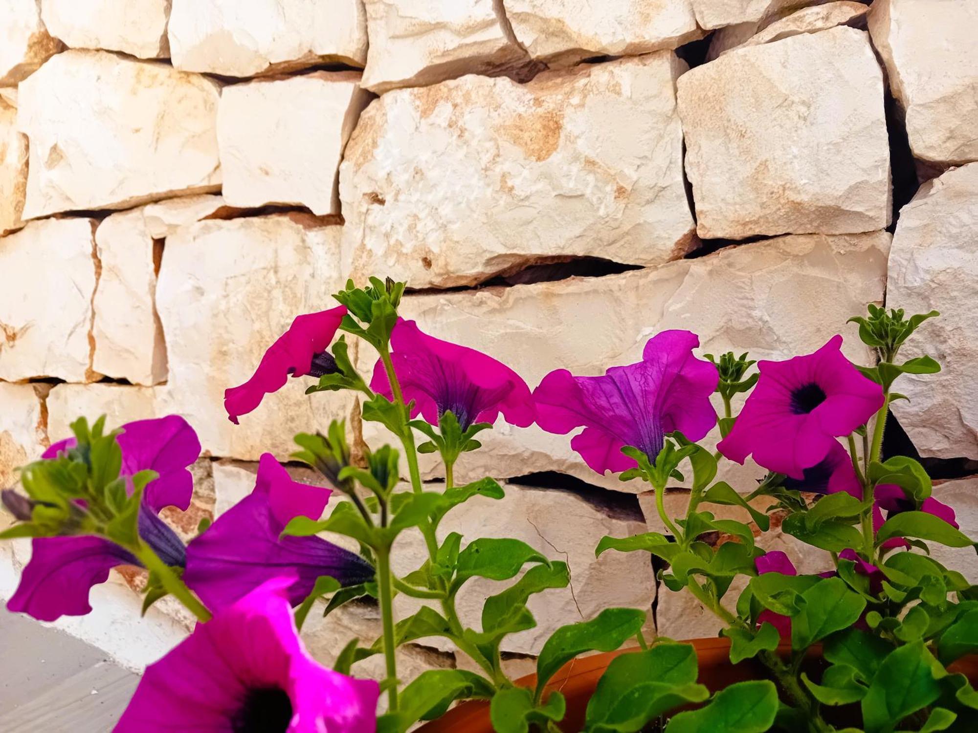 Pietra Di Puglia Hotel Monopoli Exterior photo